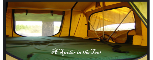What to do with a spider in your tent