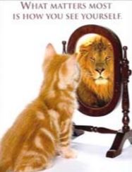 cat-with-lion-in-mirror
